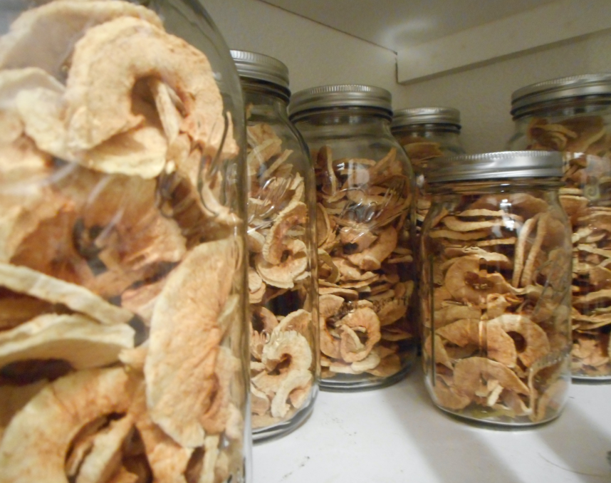 dried apples in jars