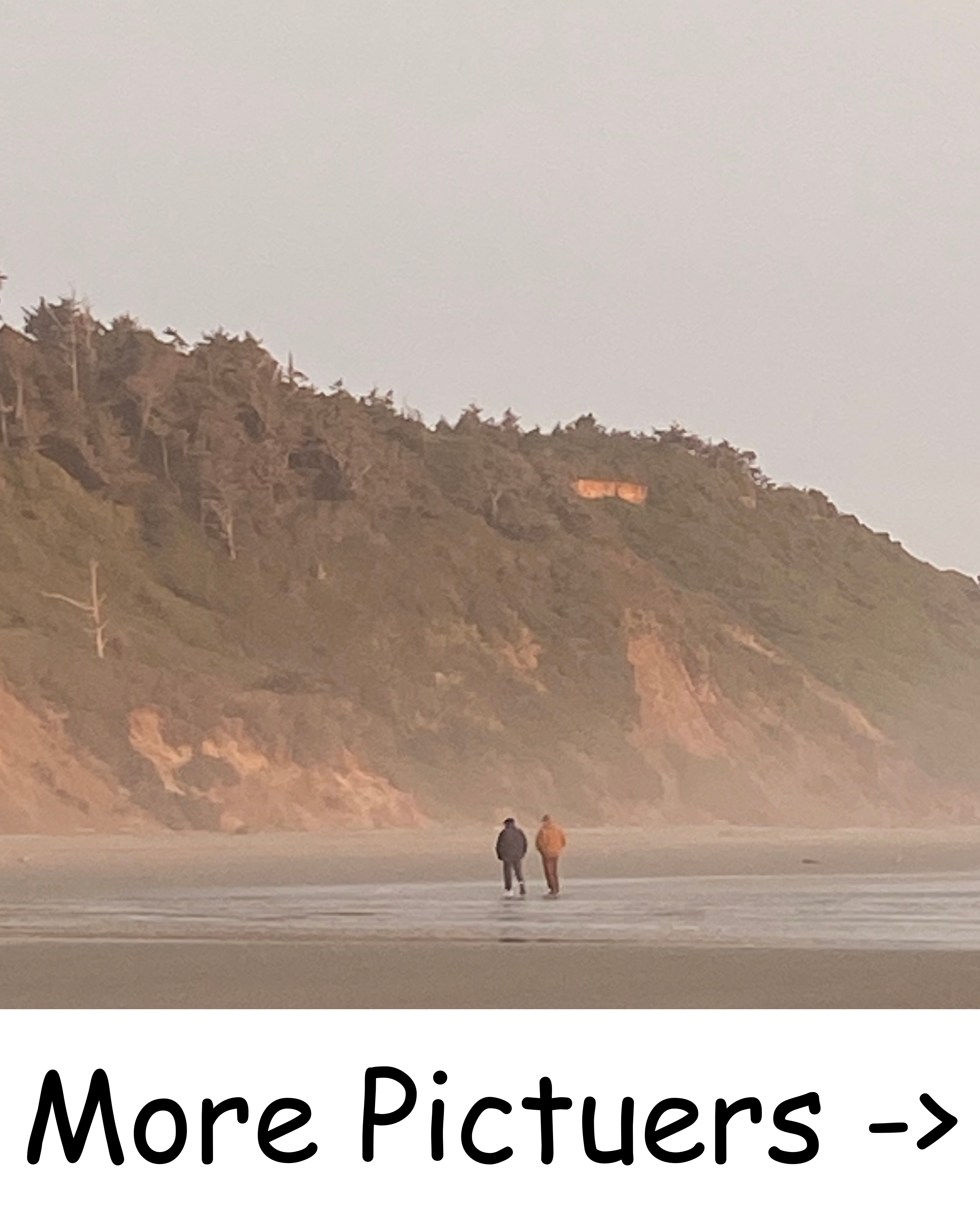 the headlands at the beach