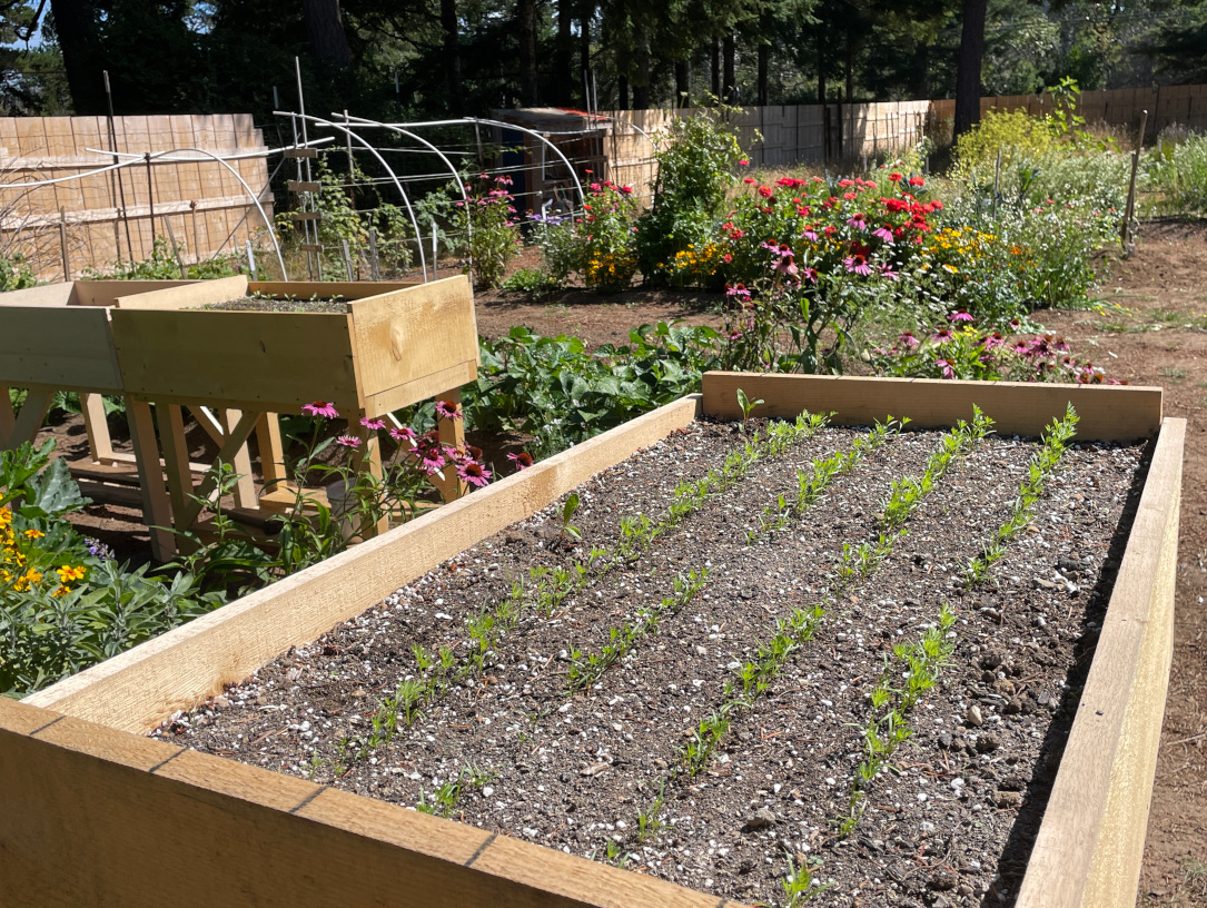 raised garden beds